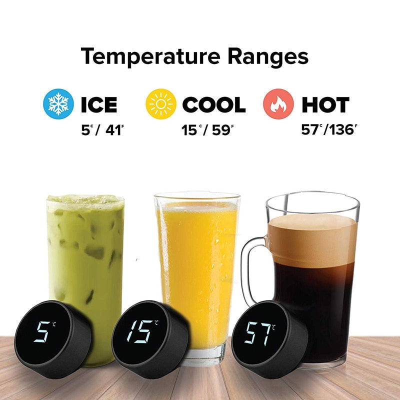 LCD Temperature Display Bottle